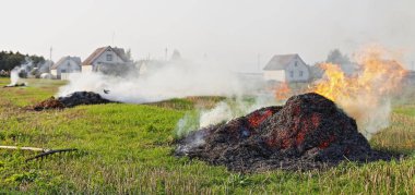 Ot yığınlarını dumanla yakmak, sonbahar günü Avrupa 'nın kırsal kesimlerinde patatesleri yakmak arka plandaki kırsal binalar, yangın tehlikesi, çevre felaketleri ozon tabakası tahribatı.