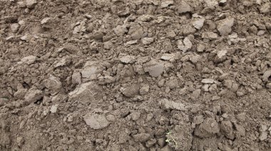 Kuru, kahverengi, ekilmiş toprak, tarım arazisi, toprak dokusu. 