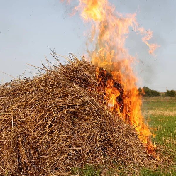 Fire in the grass pile, burning straw in haystack on field and blue sky background, ecological disaster pollution ozone damage