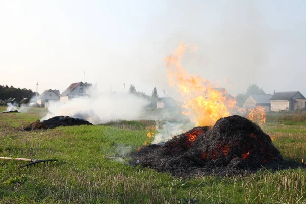 Brända Halmhögar Med Rök Förortsfältet Bränna Torra Potatistoppar Landsbygden Höstdag — Stockfoto