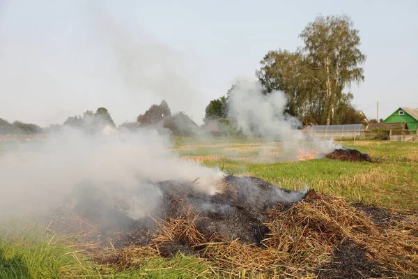 Röka Högar Halm Fältet Bränna Torr Potatis Toppar Byn Höstdag — Stockfoto