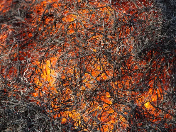 Abstrakt Orange Bakgrund Smältande Fibrer Närbild Orange Glödande Lyser Genom — Stockfoto