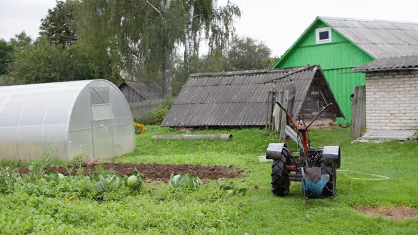 Motorcultivator Bedden Met Groenten Polycarbonaat Kas Koepel Achtergrond Van Een — Stockfoto