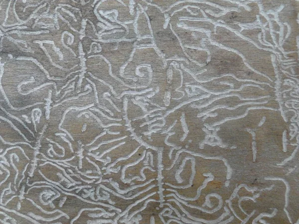 Weiße Holzwurmspuren Auf Braunem Holzstamm Unter Rinde Nahaufnahme Natürliche Zufällige — Stockfoto