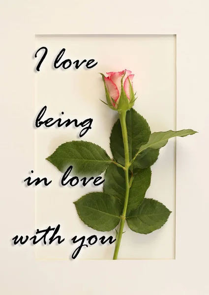 I love you card — Stock Photo, Image