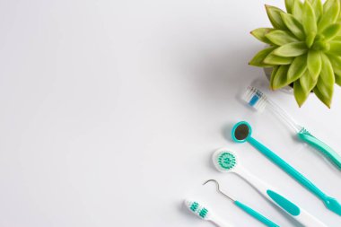 Beyaz arkaplanda diş bakımı araçları