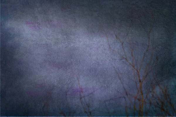 Effetto Texture Sfondo Blu Viola Magenta Colori Con Ramo Albero — Foto Stock