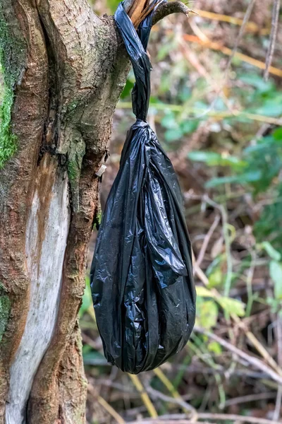 Hundbajs Avfall Hängande Från Ett Träd Svart Plastpåse — Stockfoto