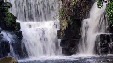 Penllergare Valley Woods Şelalesi Güney Galler 'deki Swansea yakınlarındaki popüler bir seyahat merkezi turistik eğlence merkezi video klibi.