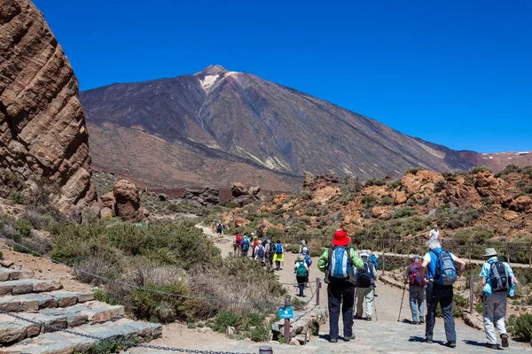 Tenerife Isole Canarie Spagna Marzo 2014 Ramblers Trekking Vulcano Pico — Foto Stock