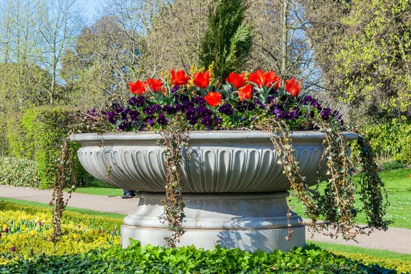 Regents Park Våren Urna Blomma Display Blomsterrabatt Som Populär Offentlig — Stockfoto