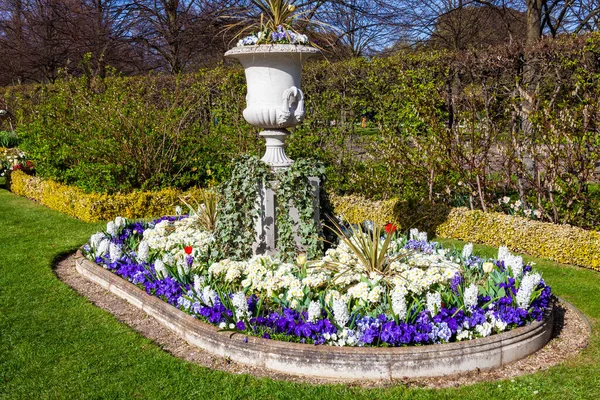 Regents Park Våren Urna Blomma Display Blomsterrabatt Som Populär Offentlig — Stockfoto