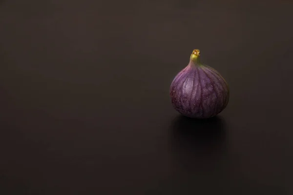 Lone fig on a dark background