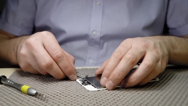 Officina di riparazione elettronica. Il riparatore disconnette il pezzo di ricambio dello smartphone — Video Stock