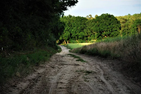 Un sentiero sabbioso tra bosco e campo — Foto Stock