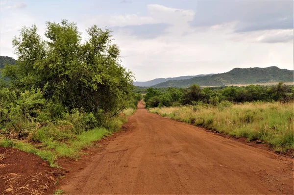 Un chemin sablonneux dans la brousse africaine — Photo