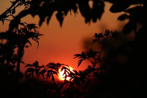 Um grande pôr-do-sol com vista para o lago — Fotografia de Stock