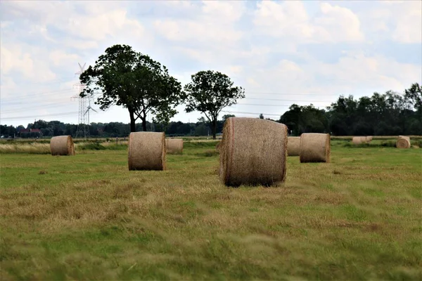 Round bales jerami di padang rumput — Stok Foto