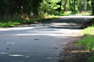 Yolun kenarında ağaçlar ve gölgeler olan beton yol.