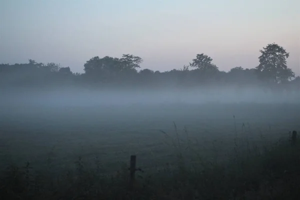 Fog in the evening over a pasture with trees in the background — Stock Photo, Image