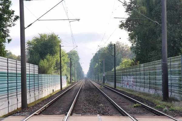 Trilhas ferroviárias com paredes de proteção contra ruído e árvores ao lado Fotos De Bancos De Imagens