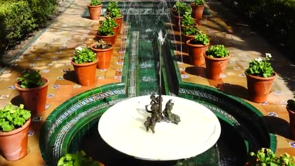 マドリード スペイン 2018年3月27日 ソローヤの家博物館の庭の噴水 — ストック動画