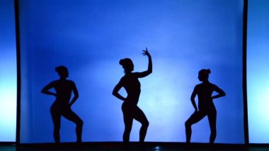 BERDYANSK, UKRAINE - 30 EKİM: jimnastikçi bir kızın siluetleri. 30 Ekim 2016 'da Ukrayna' nın Berdyansk kentinde arka planda beyaz perdenin önündeki gölgeler tiyatrosunun performansı