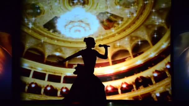 Berdyansk Ukraine Oktober Uttalande Operahuset Föreställning Skuggornas Teater Framför Bakgrundsbelyst — Stockvideo