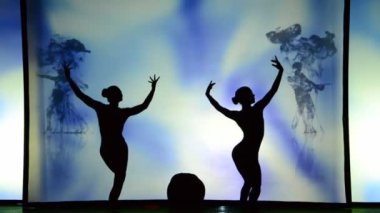 BERDYANSK, UKRAINE - 30 Ekim 2016 'da Ukrayna' nın Berdyansk kentindeki beyaz perdenin önündeki gölgeler tiyatrosunun performansı