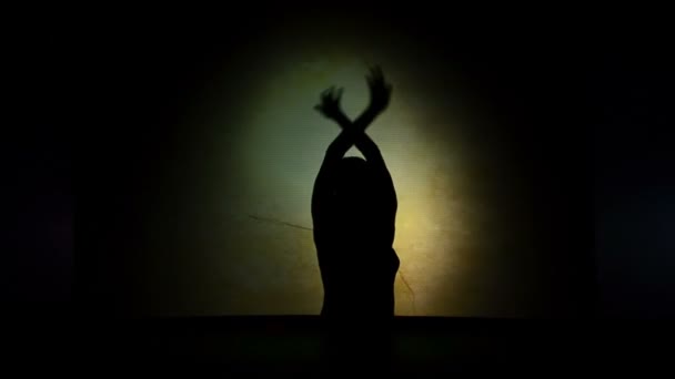 Berdyansk Ucrania Octubre Actuación Del Teatro Sombras Frente Una Pantalla — Vídeos de Stock