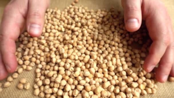 Fermier Prend Les Mains Des Pois Chiches Sac Mouvement Lent — Video