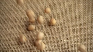 Çuval bezelye. Yavaş çekim.