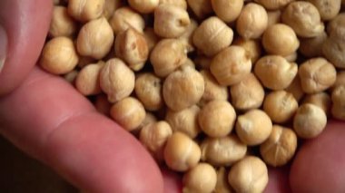 Çiftçi nohutların ellerini çuvaldan alır. Yavaş çekim.