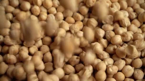 バラップのひよこ豆 スローモーション — ストック動画