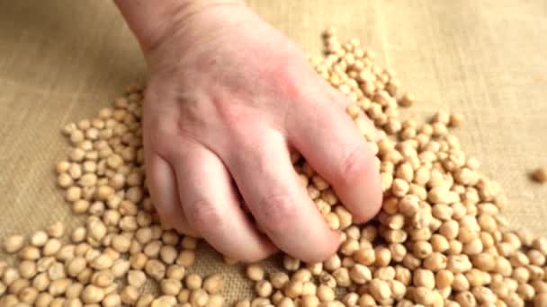 农夫从袋子里接过鹰嘴豆的手 慢动作 — 图库视频影像