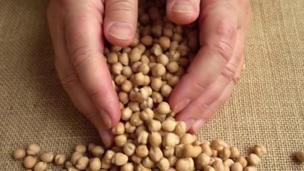 Agricultor Toma Mãos Grão Bico Saco Movimento Lento — Vídeo de Stock