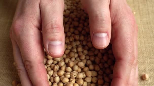 农夫从袋子里接过鹰嘴豆的手 慢动作 — 图库视频影像
