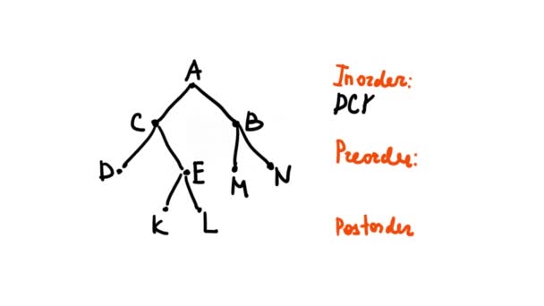 木の横断だ 特定の数学 セクションの木 — ストック動画