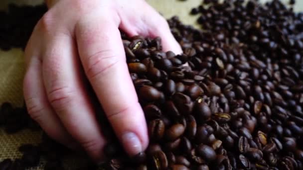 Kaffebönor Säcken Långsamma Rörelser — Stockvideo