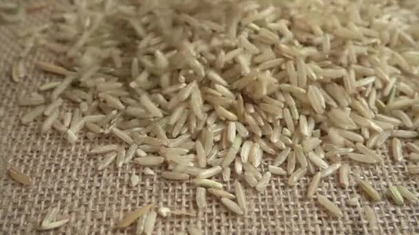 Verter Arroz Saco Movimiento Lento — Vídeos de Stock