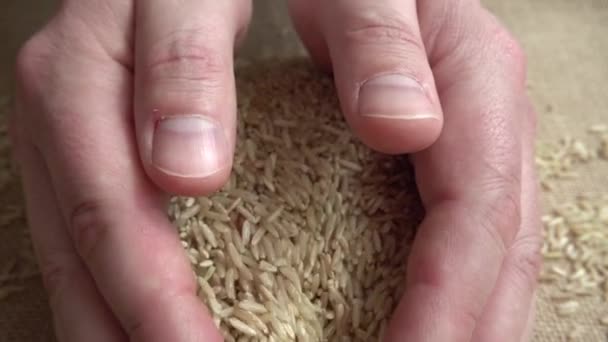 Çiftçi Çuval Bezinden Pirinç Alır Yavaş Çekim — Stok video