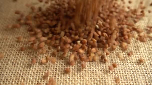 荞麦捆在麻布腿上 慢动作 — 图库视频影像