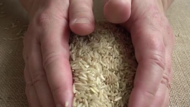 Αγρότης Παίρνει Ρύζι Από Λινάτσα Αργή Κίνηση — Αρχείο Βίντεο