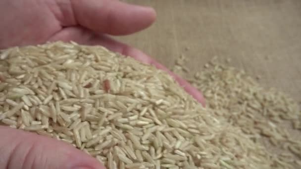 Granjero Toma Arroz Arpillera Movimiento Lento — Vídeos de Stock