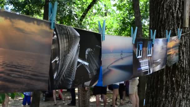 Exposição Foto Dia Proteção Crianças — Vídeo de Stock