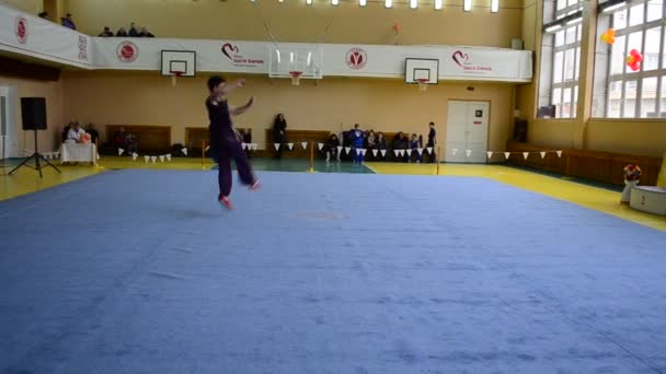 Berdyansk Ucrania Marzo Campeonato Wushu Abierto Región Zaporizhia Marzo 2016 — Vídeos de Stock