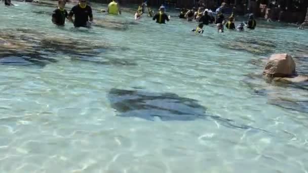 Zoek Naar Een Helling Een Natuurlijk Reservoir — Stockvideo