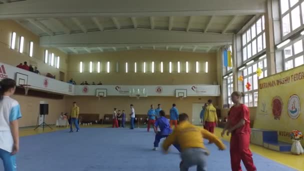 Berdyansk Ucrania Marzo Campeonato Wushu Abierto Región Zaporizhia Marzo 2016 — Vídeos de Stock