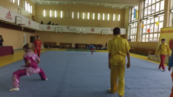 Berdyansk Ucrânia Março Campeonato Wushu Aberto Região Zaporizhia Março 2016 — Vídeo de Stock