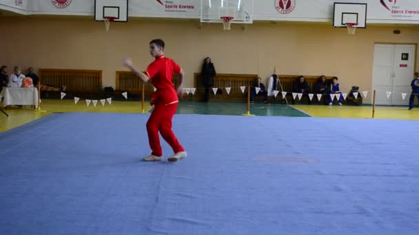 Berdyansk Ukraine Március Nyílt Wushu Bajnokság Zaporizhia Régióban 2016 Március — Stock videók